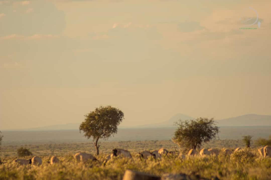 Amanya 3-Bedroom Hut Amboseli Bagian luar foto